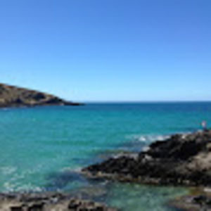 Meet your Posher, Tracey